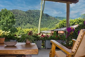 Naturaleza Terraza Suit Principal Pava del Cauca Hotel Mandalay 1941